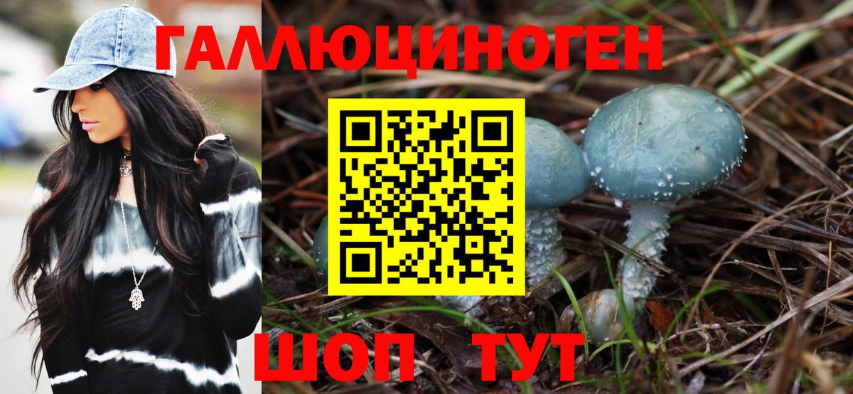 Аргун  Псилоцибиновые грибы Cubensis  Вход с VPN 