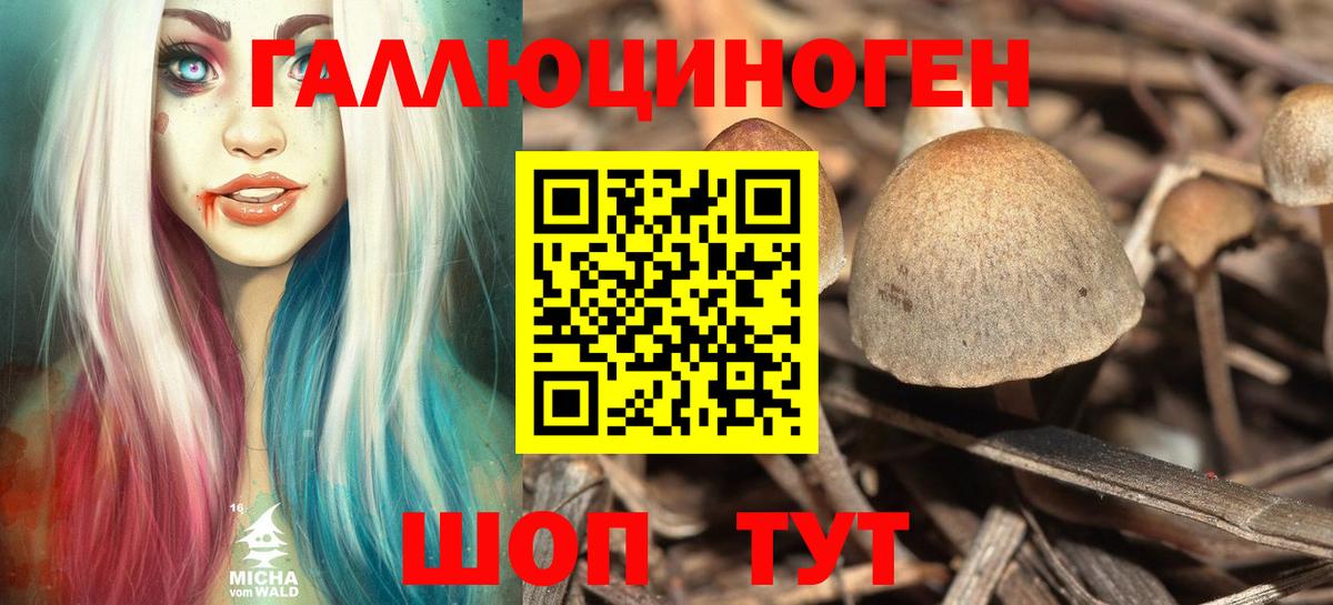 Галлюциногенные грибы Cubensis Аргун